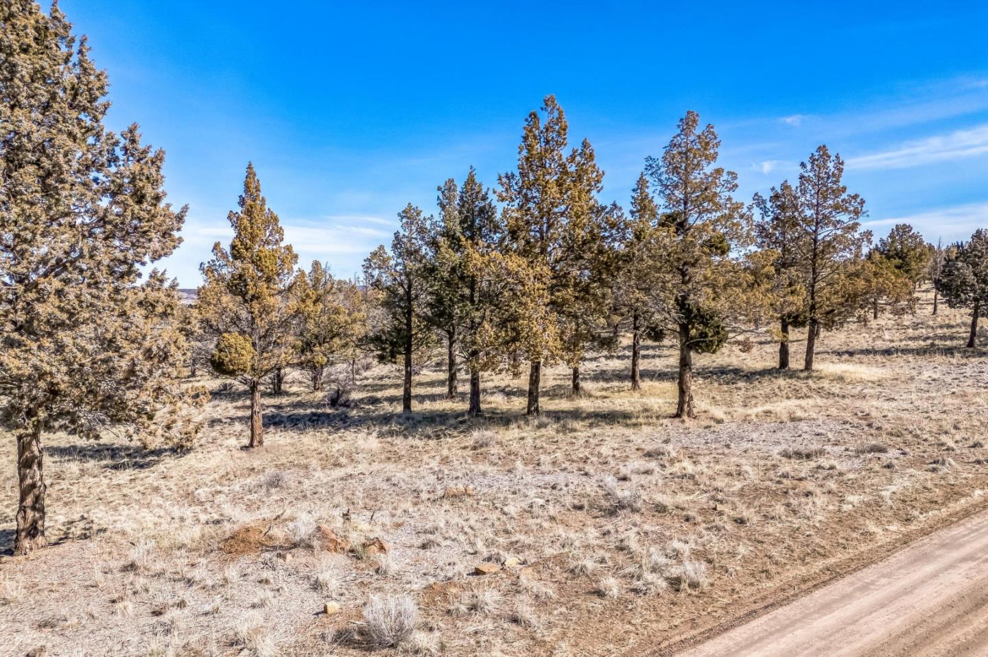 Detail Gallery Image 15 of 15 For 0 County Road 270, Alturas,  CA 96101 - – Beds | – Baths