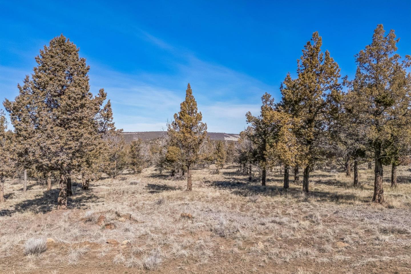 Detail Gallery Image 2 of 15 For 0 County Road 270, Alturas,  CA 96101 - – Beds | – Baths