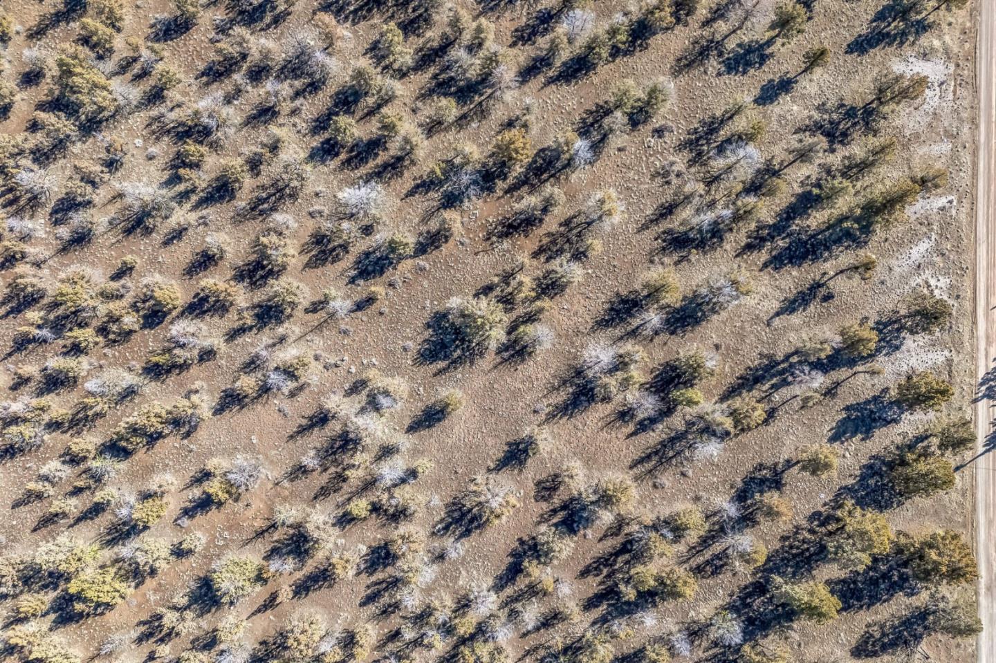 Detail Gallery Image 6 of 15 For 0 County Road 270, Alturas,  CA 96101 - – Beds | – Baths