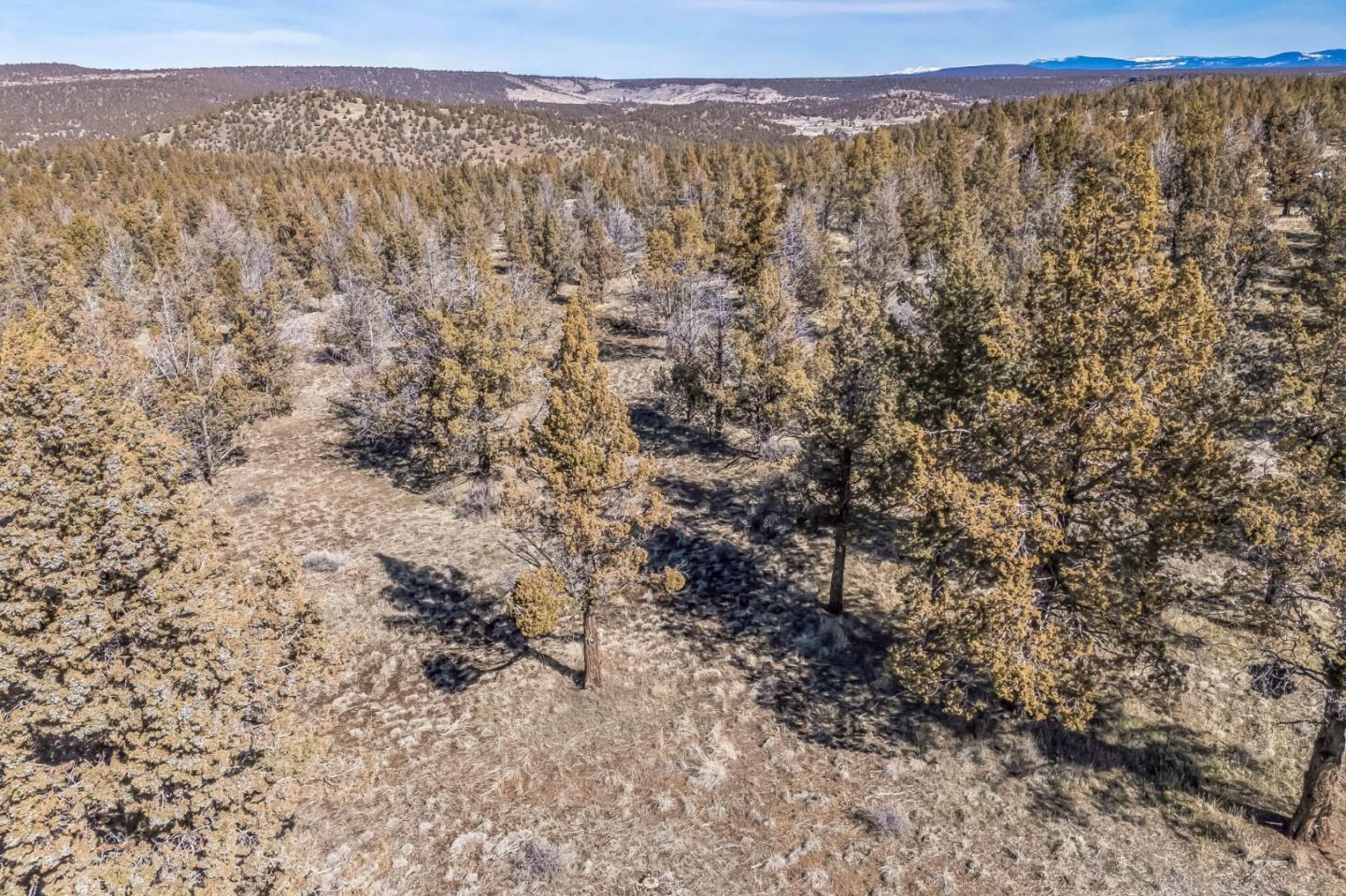 Detail Gallery Image 8 of 15 For 0 County Road 270, Alturas,  CA 96101 - – Beds | – Baths