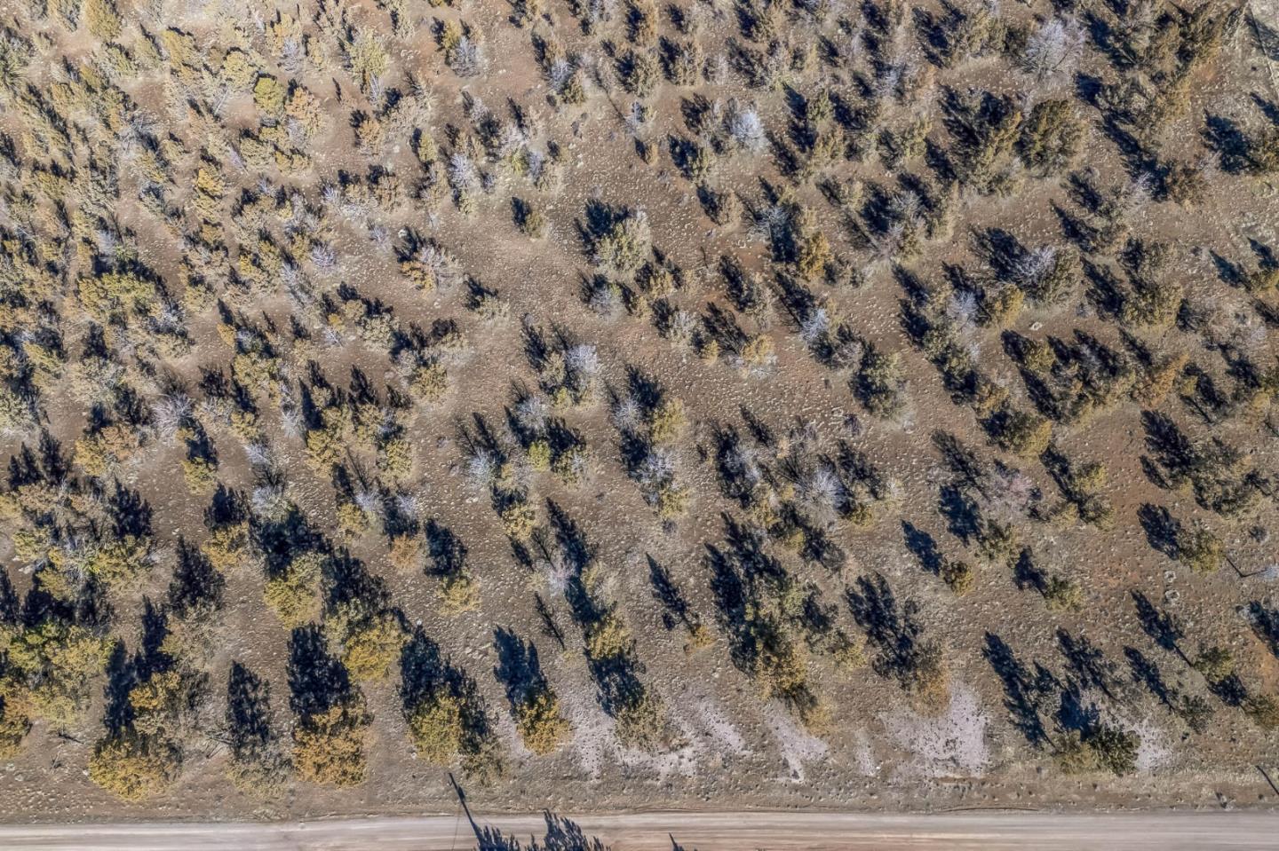 Detail Gallery Image 9 of 15 For 0 County Road 270, Alturas,  CA 96101 - – Beds | – Baths