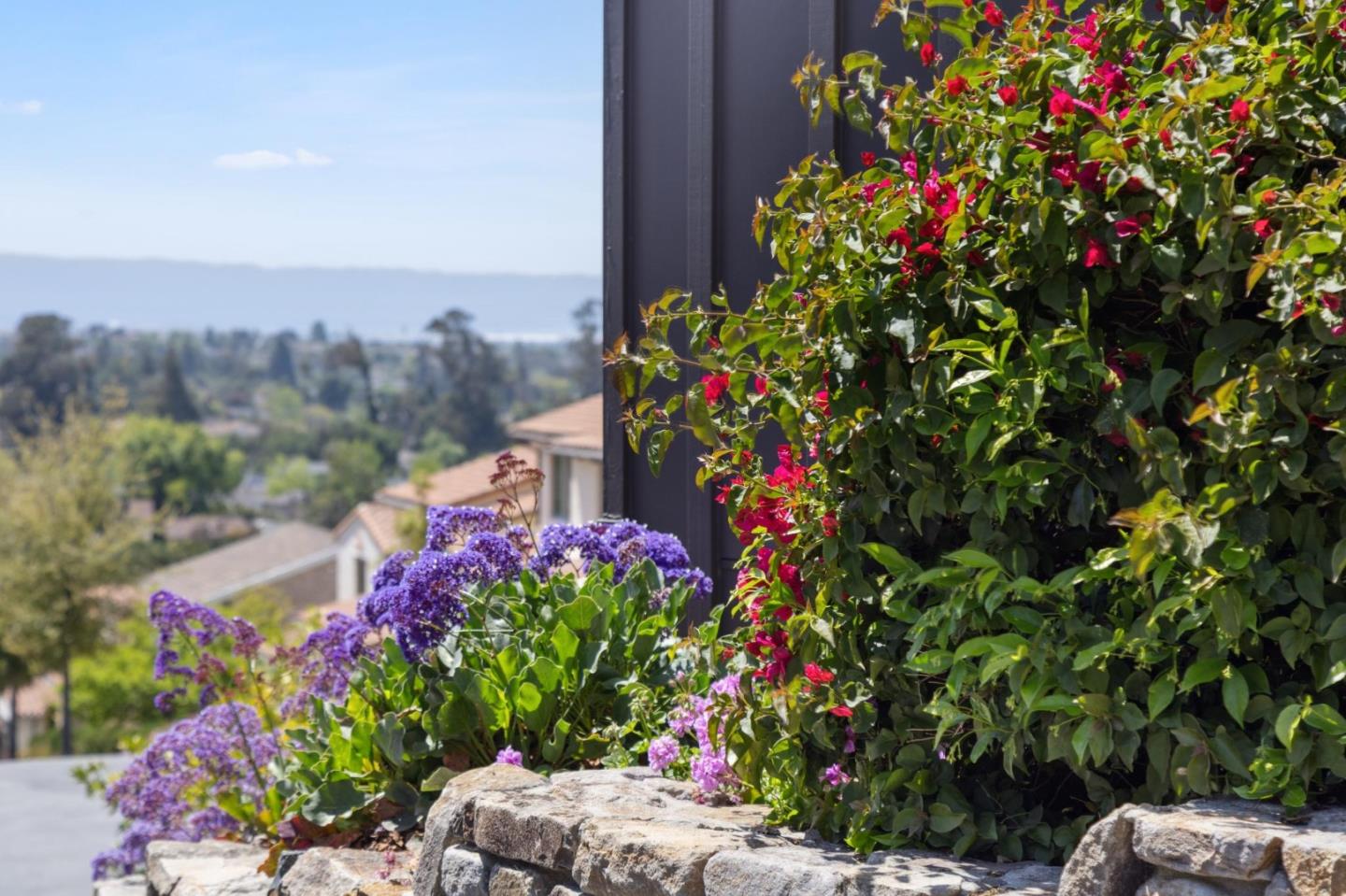 Detail Gallery Image 80 of 94 For 288 Campina Ct, Fremont,  CA 94539 - 4 Beds | 4/1 Baths