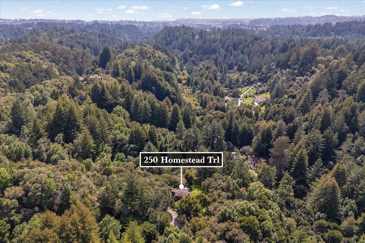 Detail Gallery Image 37 of 41 For 250 Homestead Trl, Santa Cruz,  CA 95060 - 4 Beds | 2 Baths