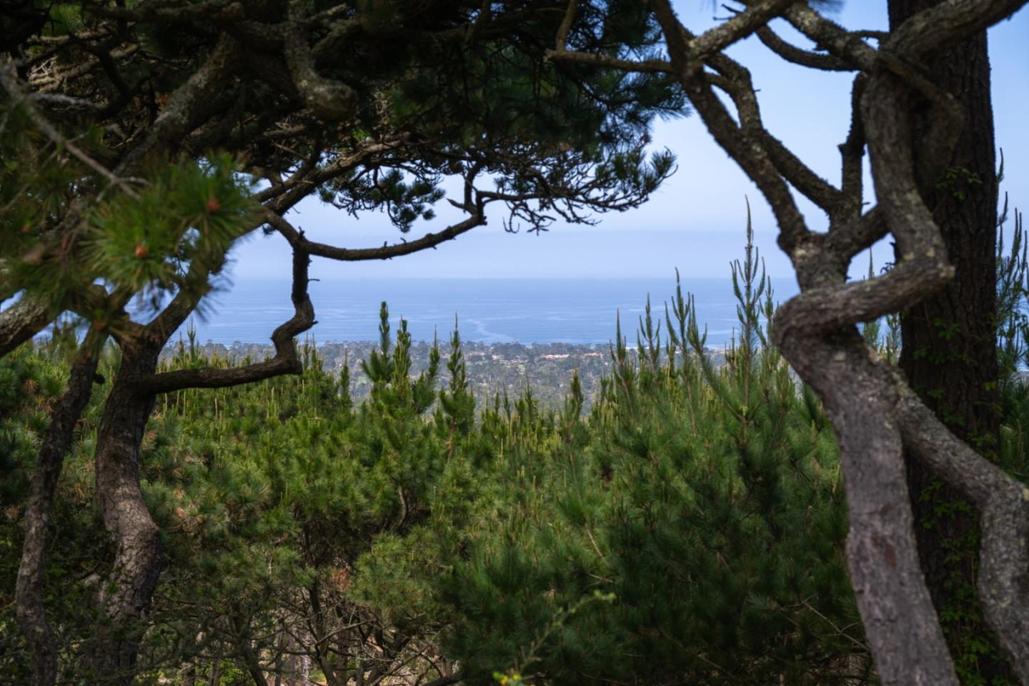 Detail Gallery Image 3 of 21 For 56 Skyline Crest Dr, Monterey,  CA 93940 - 3 Beds | 3 Baths