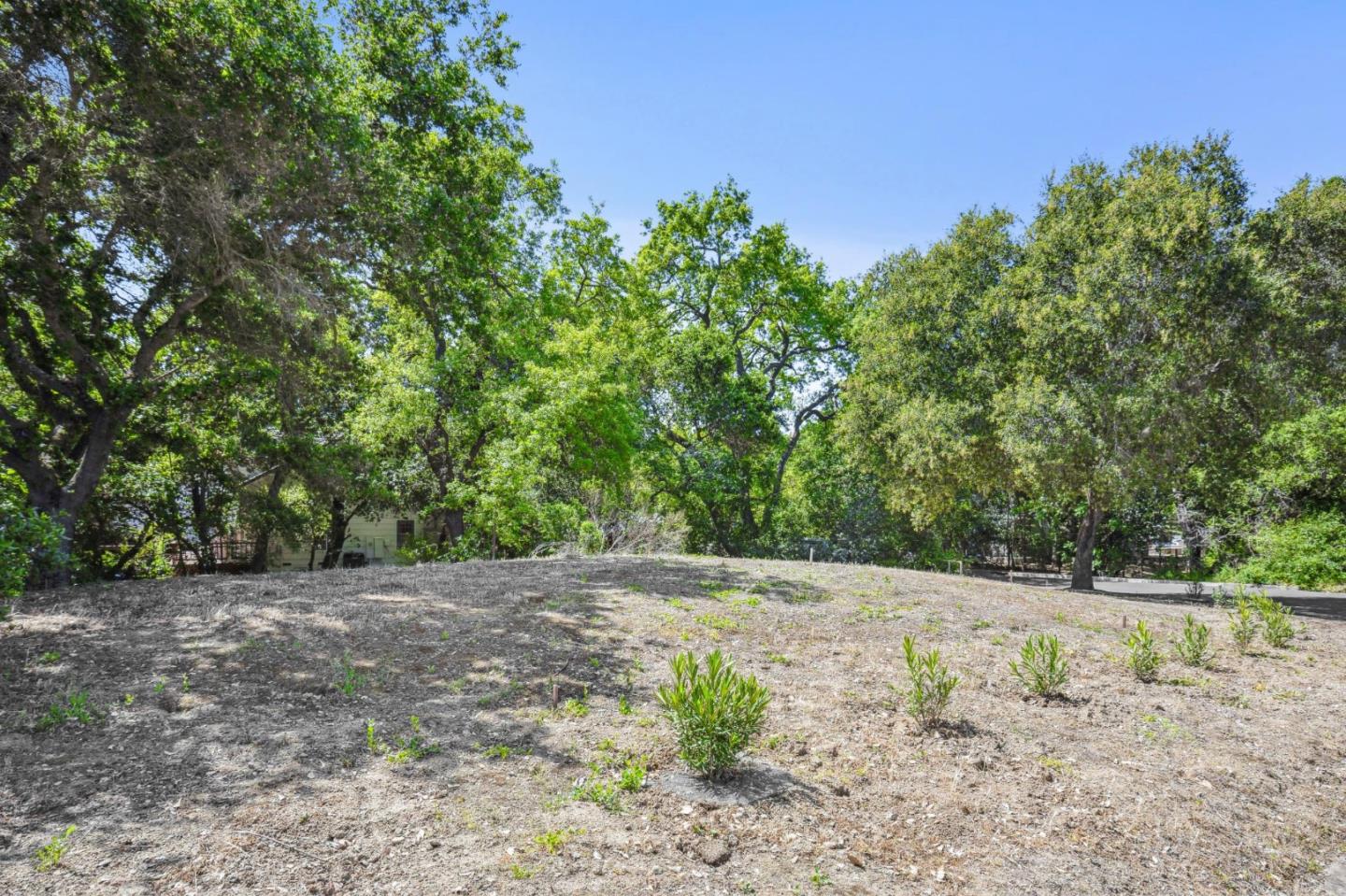 Detail Gallery Image 61 of 69 For 14024 Camino Barco, Saratoga,  CA 95070 - 4 Beds | 4 Baths