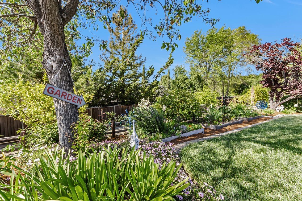 Detail Gallery Image 53 of 64 For 3187 High Meadow Ln, San Jose,  CA 95135 - 4 Beds | 2 Baths