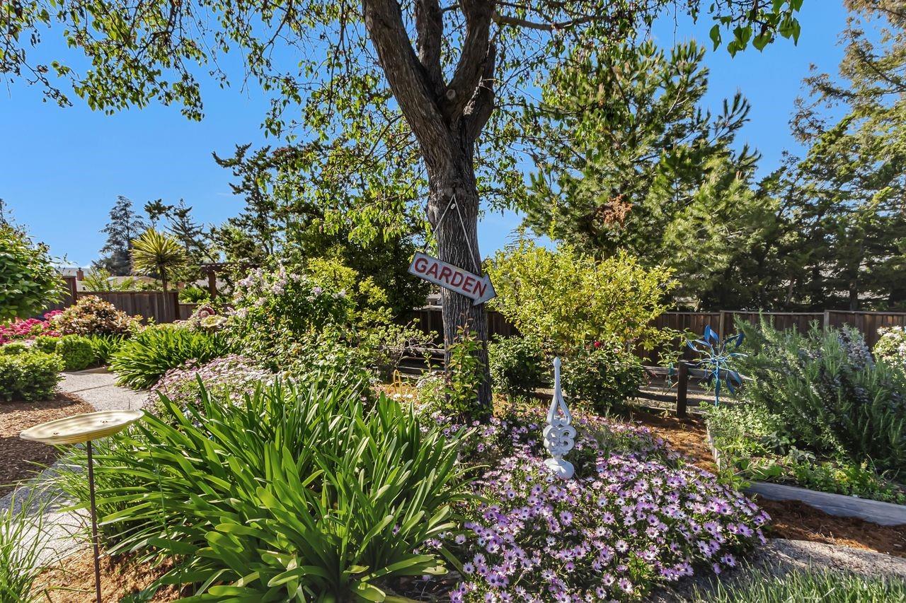Detail Gallery Image 54 of 64 For 3187 High Meadow Ln, San Jose,  CA 95135 - 4 Beds | 2 Baths