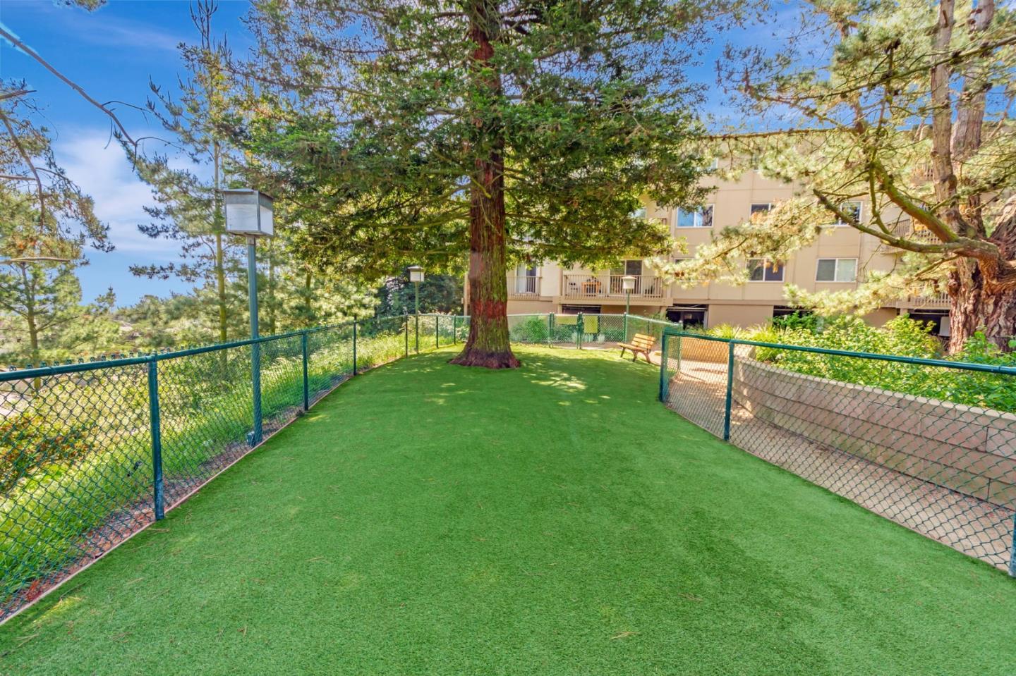Detail Gallery Image 50 of 53 For 373 Half Moon Ln #307,  Daly City,  CA 94015 - 1 Beds | 1 Baths