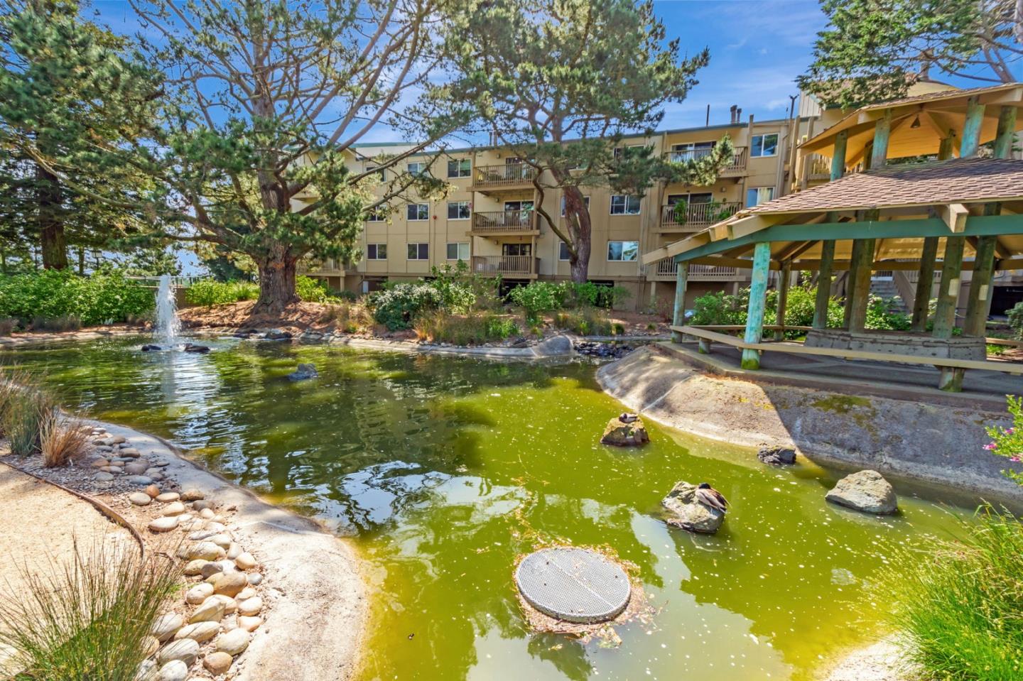 Detail Gallery Image 51 of 53 For 373 Half Moon Ln #307,  Daly City,  CA 94015 - 1 Beds | 1 Baths