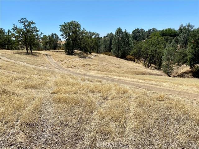 Detail Gallery Image 2 of 3 For 17323 Wagon Wheel Dr, Corning,  CA 96021 - – Beds | – Baths