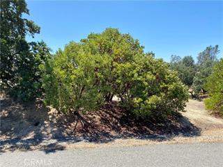 Detail Gallery Image 3 of 3 For 17323 Wagon Wheel Dr, Corning,  CA 96021 - – Beds | – Baths