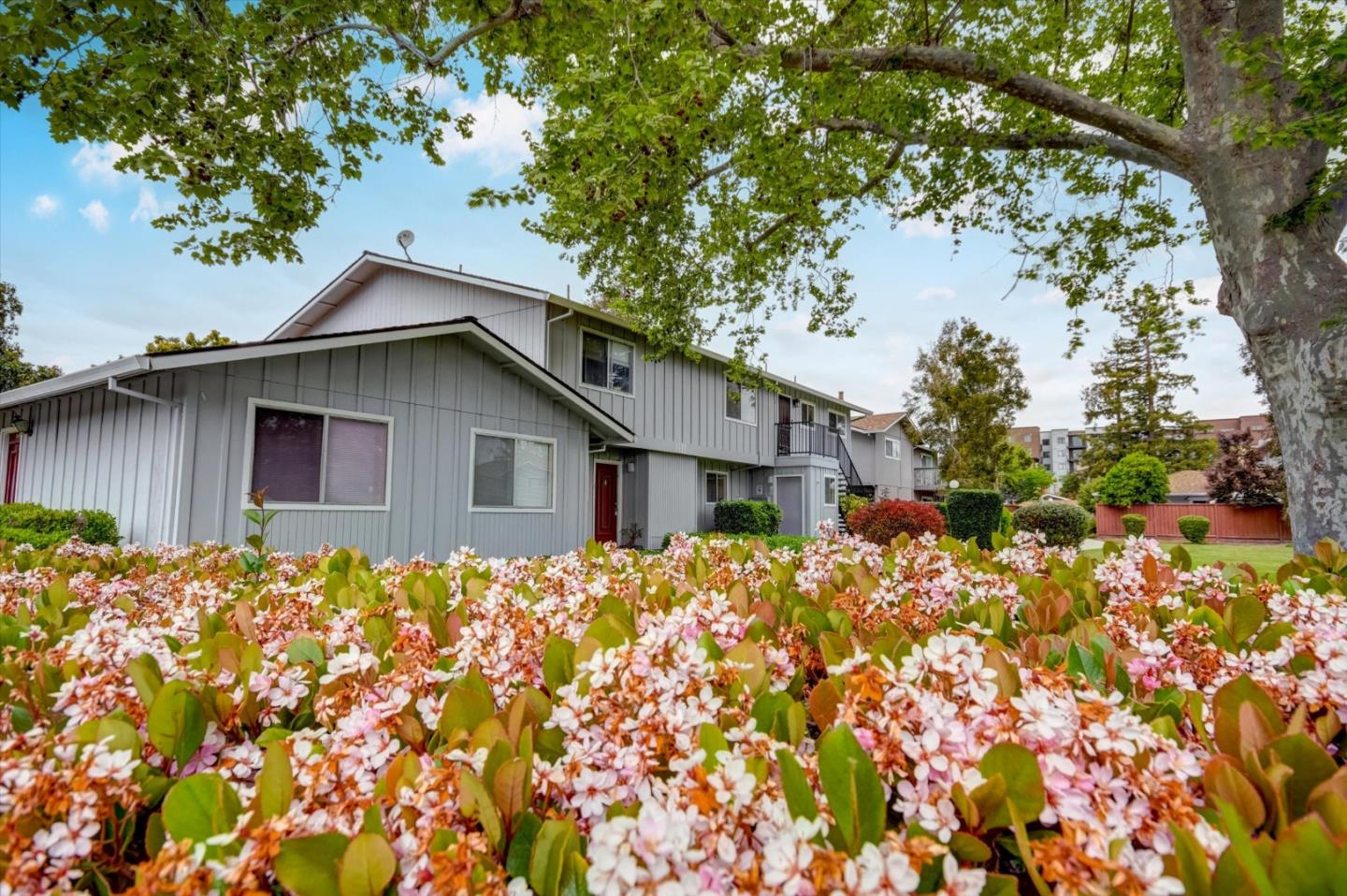 Detail Gallery Image 1 of 30 For 1111 Reed Ave #C,  Sunnyvale,  CA 94086 - 3 Beds | 1/1 Baths