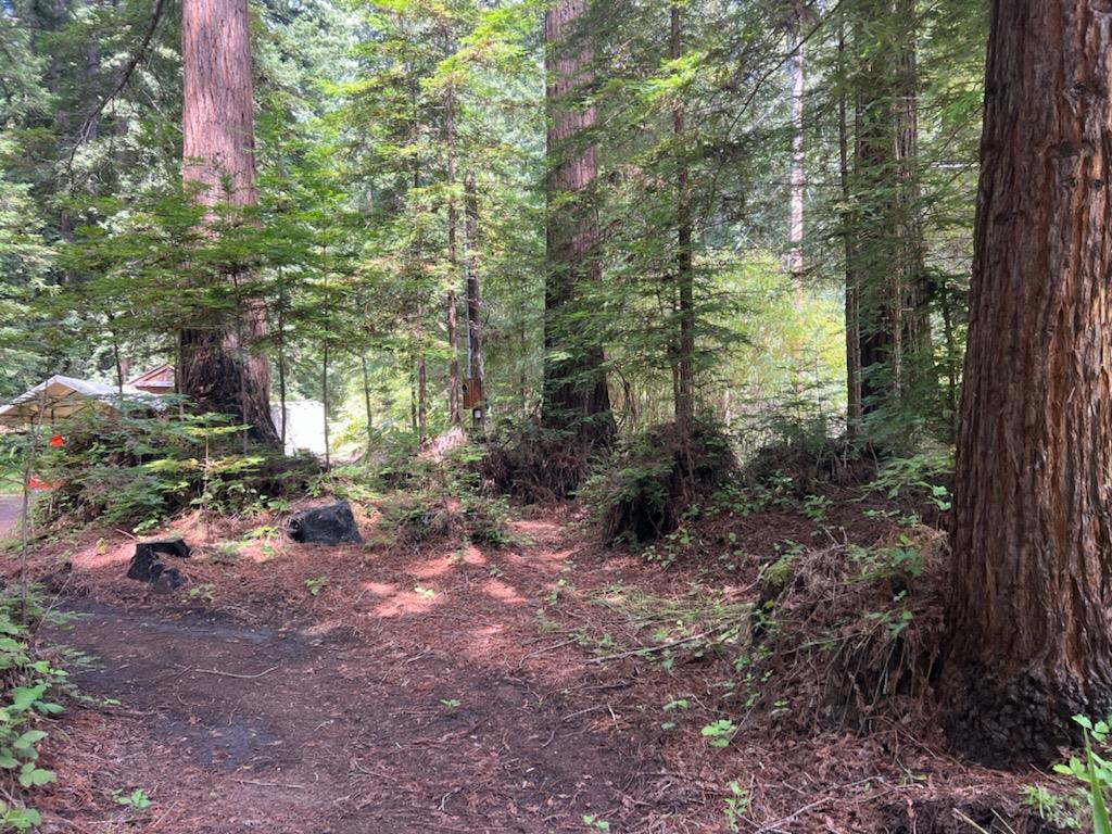Detail Gallery Image 11 of 24 For 1385 Amaya Ridge Rd, Soquel,  CA 95073 - – Beds | – Baths