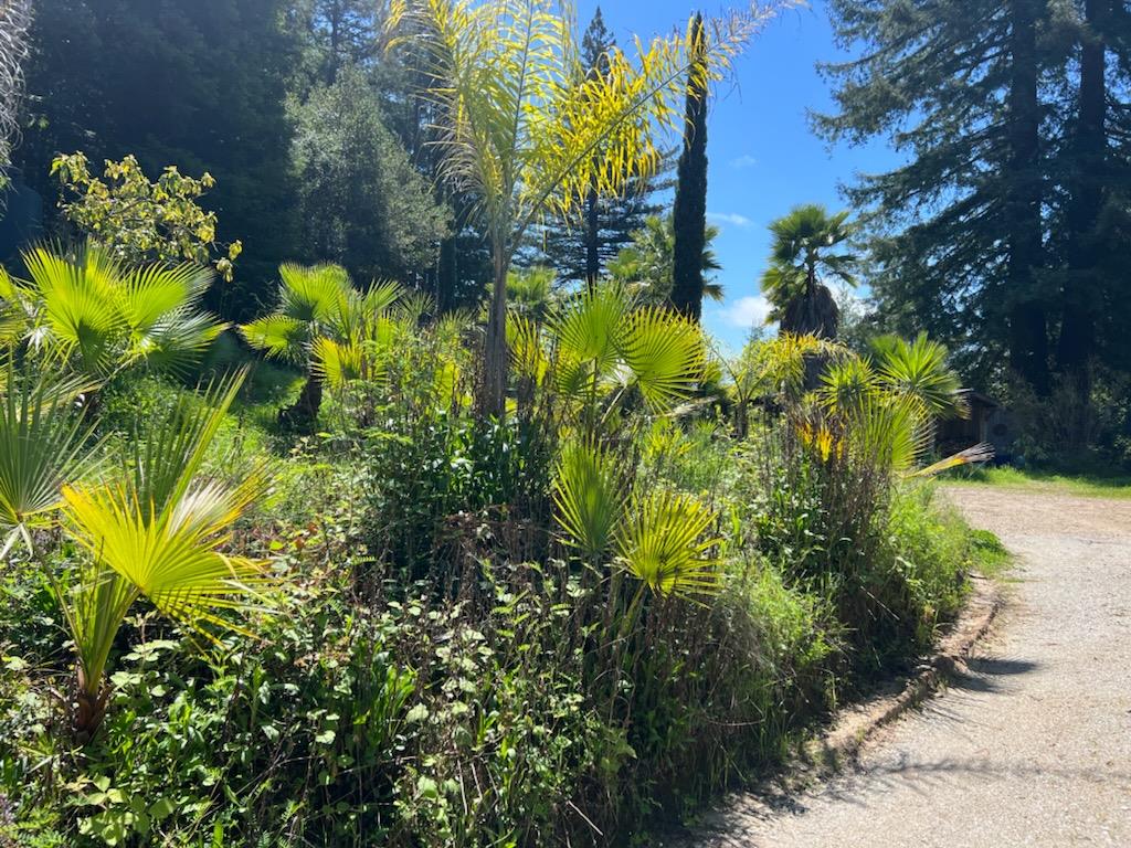 Detail Gallery Image 13 of 24 For 1385 Amaya Ridge Rd, Soquel,  CA 95073 - – Beds | – Baths