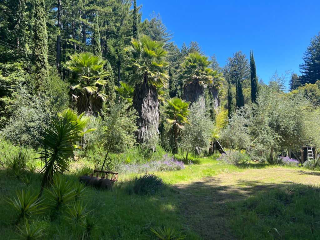 Detail Gallery Image 14 of 24 For 1385 Amaya Ridge Rd, Soquel,  CA 95073 - – Beds | – Baths