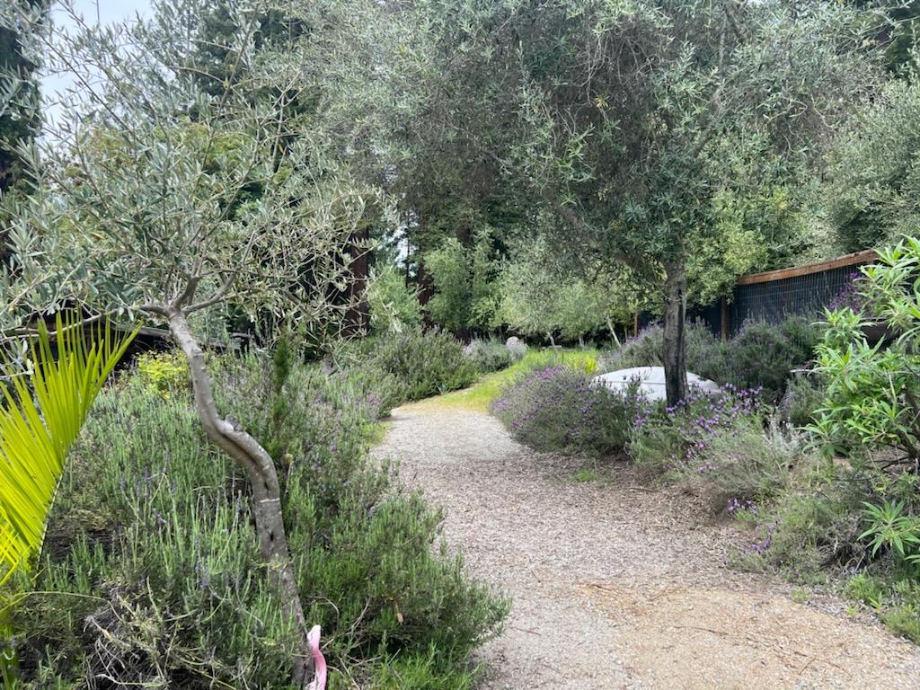 Detail Gallery Image 5 of 24 For 1385 Amaya Ridge Rd, Soquel,  CA 95073 - – Beds | – Baths