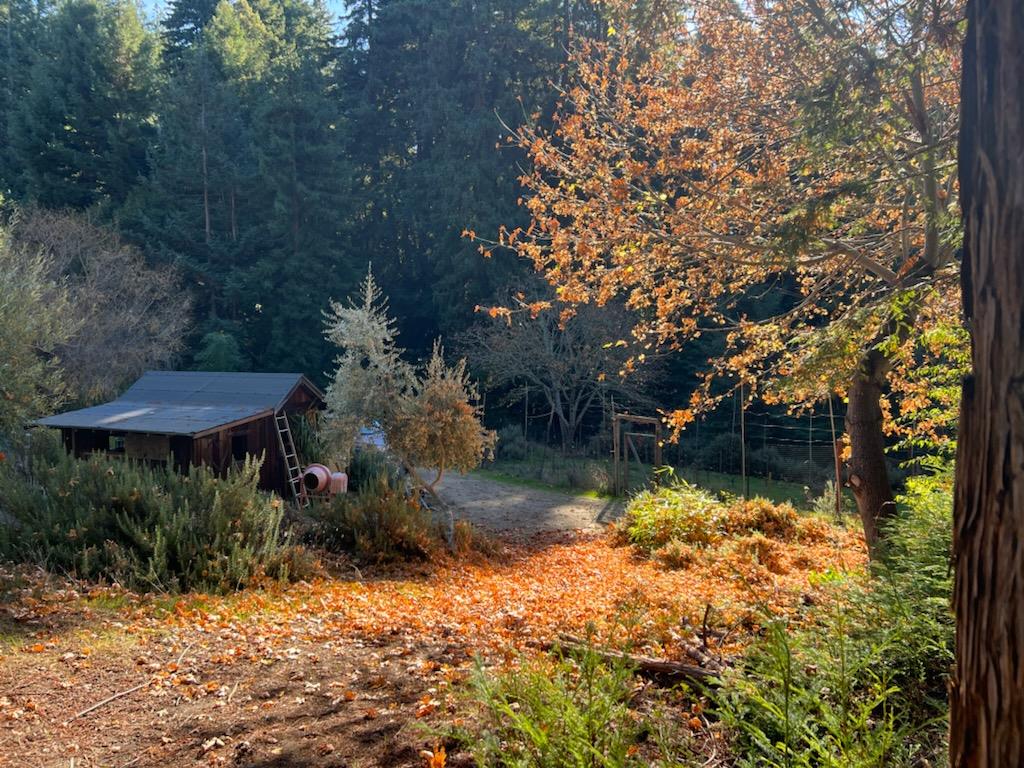 Detail Gallery Image 7 of 24 For 1385 Amaya Ridge Rd, Soquel,  CA 95073 - – Beds | – Baths