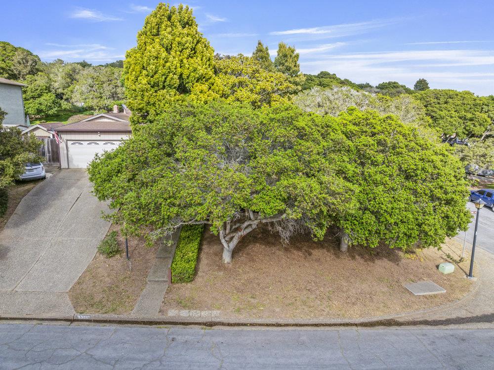 Detail Gallery Image 30 of 38 For 9355 Canyon Oak Rd, Salinas,  CA 93907 - 3 Beds | 2 Baths