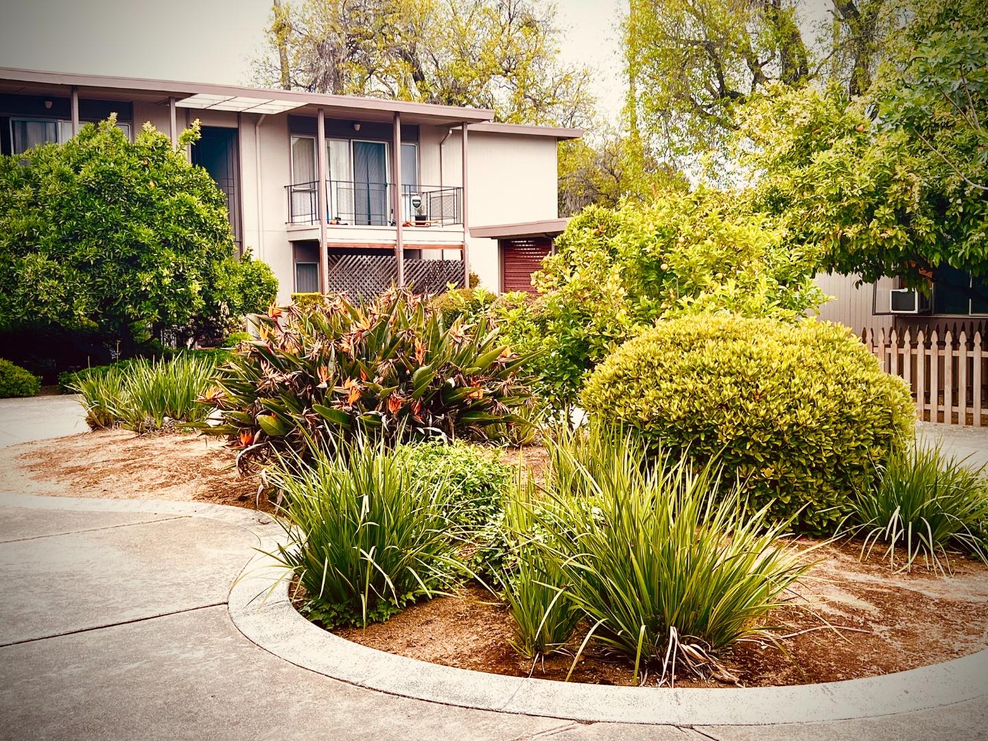Detail Gallery Image 1 of 3 For 423 N 26th St, San Jose,  CA 95116 - – Beds | – Baths