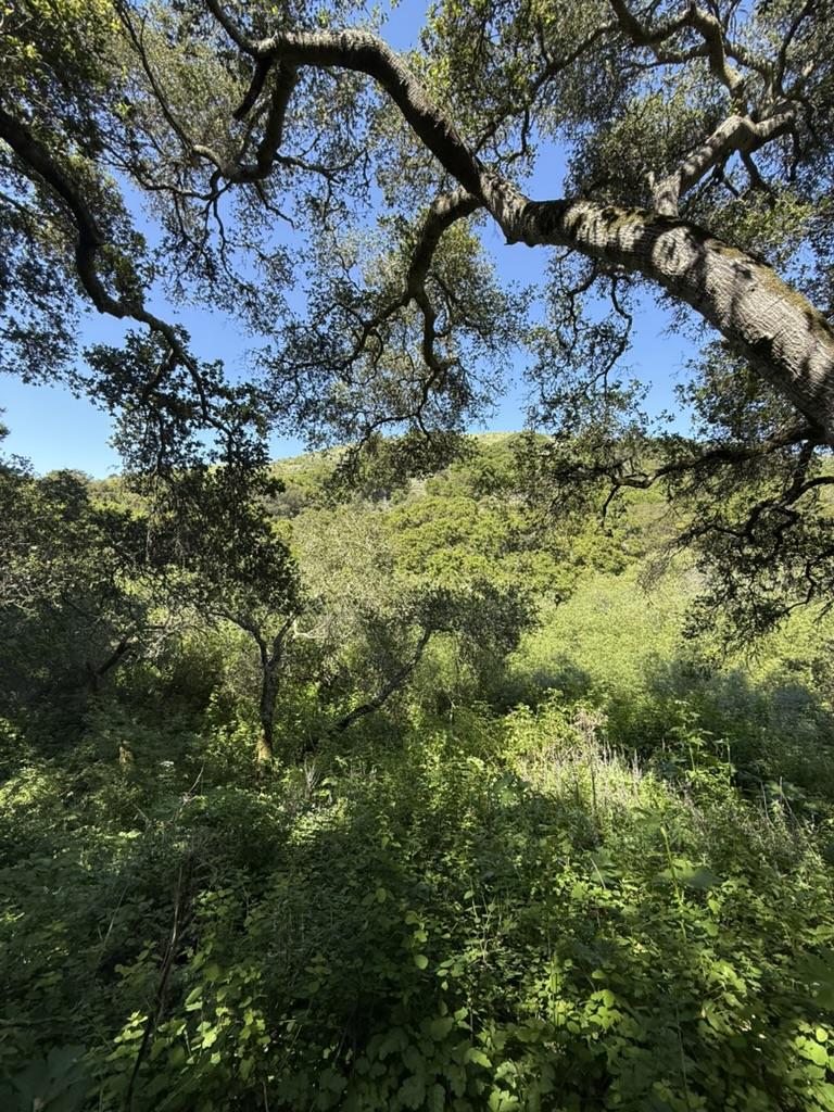 21850 Ferrari Road, Sonora, CA, 95370