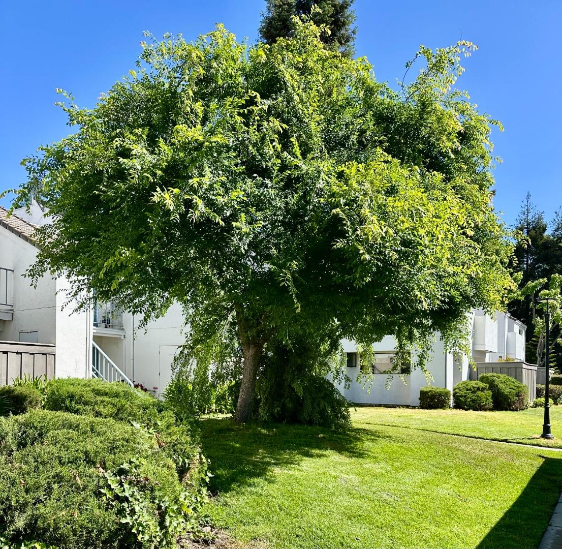 Detail Gallery Image 10 of 14 For 1055 N Capitol Ave #17,  San Jose,  CA 95133 - 2 Beds | 2 Baths