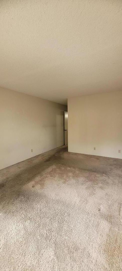 Detail Gallery Image 19 of 24 For 490 Mariners Island Blvd #211,  San Mateo,  CA 94404 - 1 Beds | 1 Baths