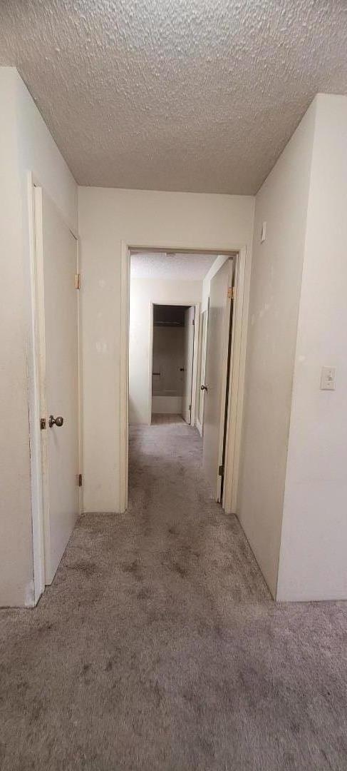 Detail Gallery Image 4 of 24 For 490 Mariners Island Blvd #211,  San Mateo,  CA 94404 - 1 Beds | 1 Baths