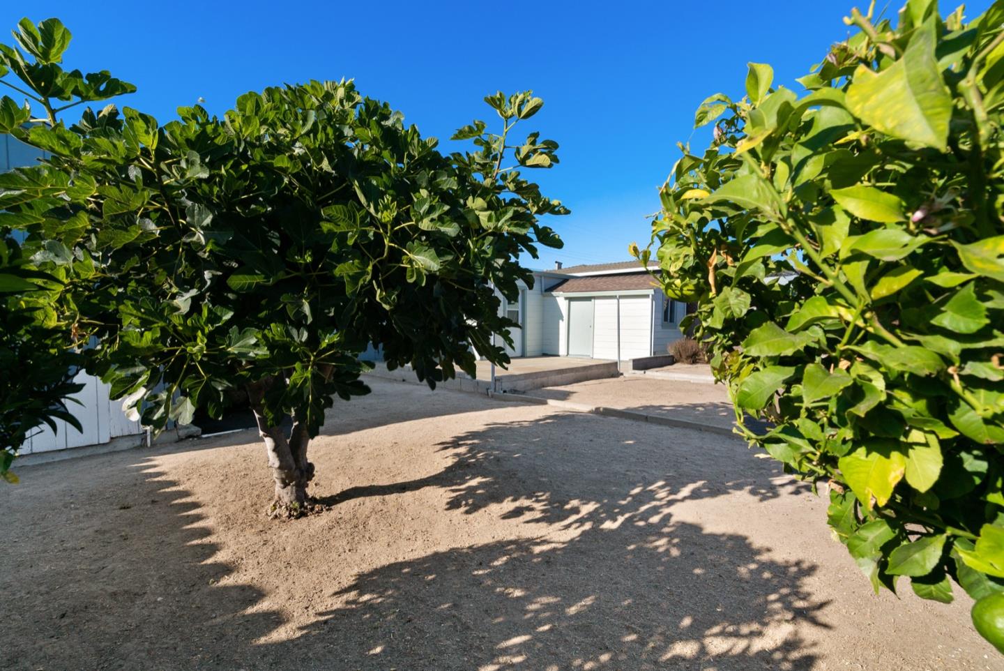 Detail Gallery Image 25 of 29 For 145 Napa St, Watsonville,  CA 95076 - 3 Beds | 1/1 Baths