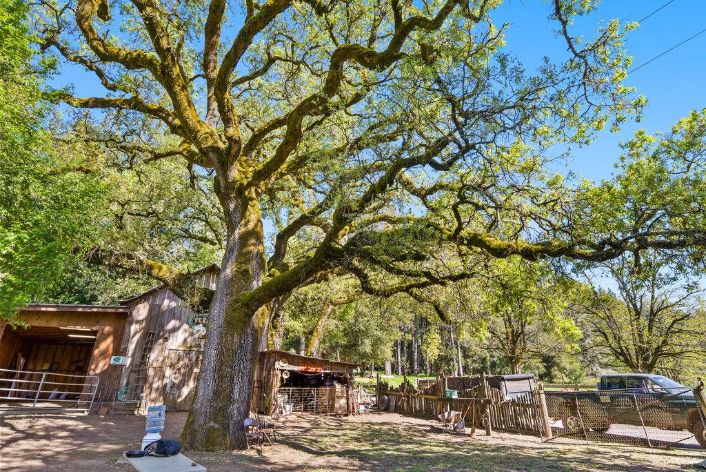 Detail Gallery Image 40 of 45 For 4200 Glenwood Dr, Scotts Valley,  CA 95066 - 3 Beds | 2/1 Baths