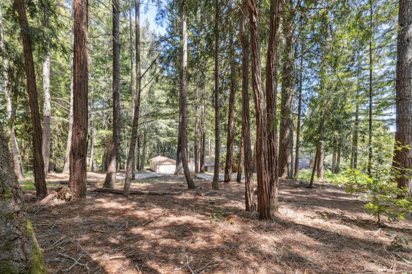 Detail Gallery Image 60 of 100 For 1233 Hillcrest Dr, Felton,  CA 95018 - 3 Beds | 3 Baths