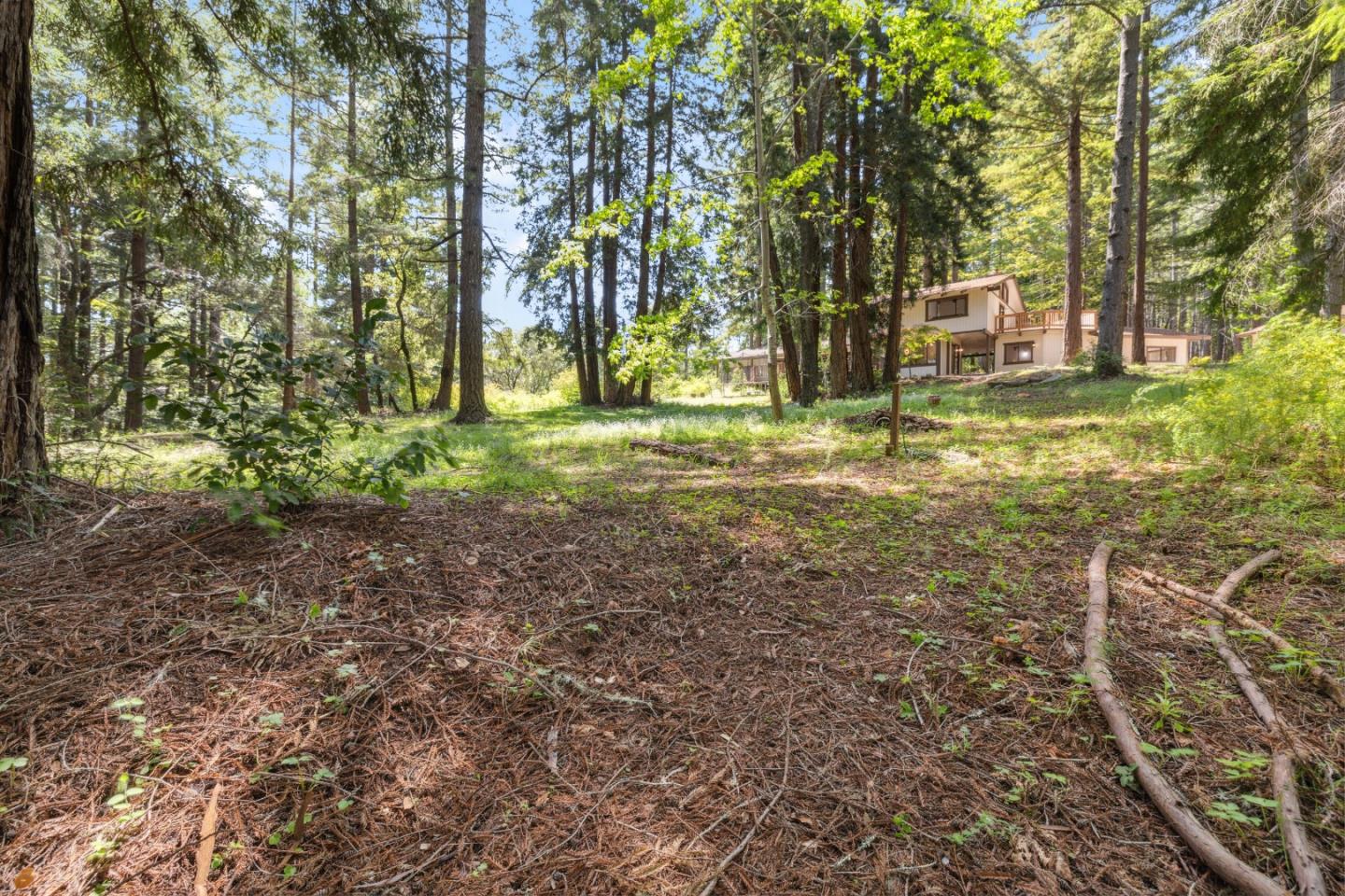 Detail Gallery Image 67 of 100 For 1233 Hillcrest Dr, Felton,  CA 95018 - 3 Beds | 3 Baths