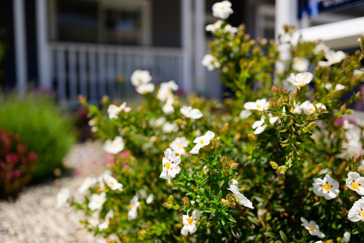 Detail Gallery Image 93 of 108 For 141 Navigator Dr, Scotts Valley,  CA 95066 - 4 Beds | 2/1 Baths