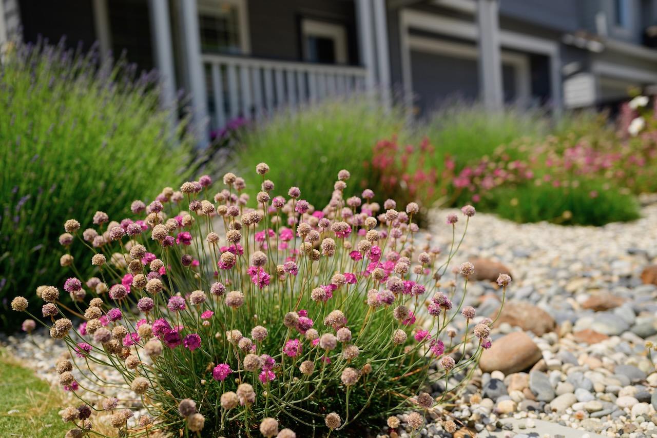 Detail Gallery Image 94 of 108 For 141 Navigator Dr, Scotts Valley,  CA 95066 - 4 Beds | 2/1 Baths