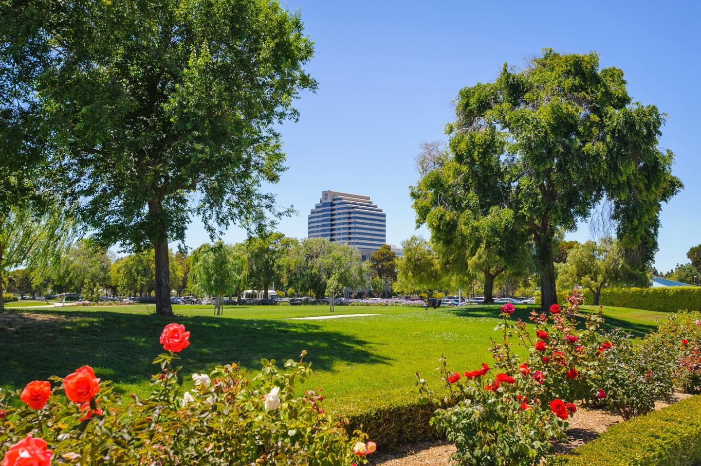 Detail Gallery Image 78 of 80 For 858 Chrysopolis Dr, Foster City,  CA 94404 - 3 Beds | 2 Baths
