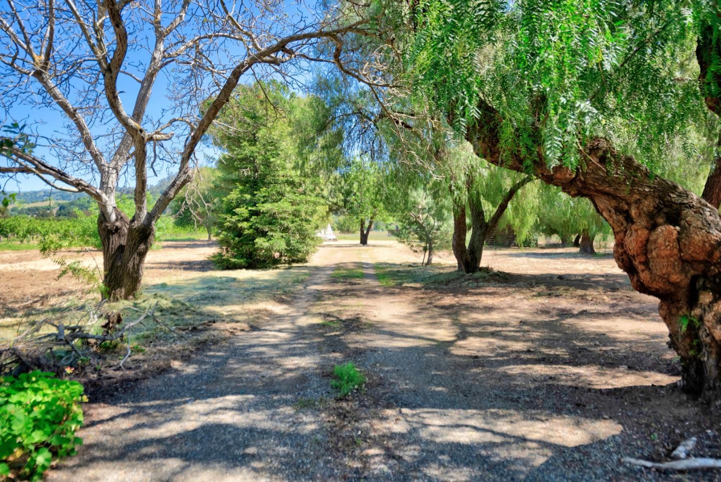 Detail Gallery Image 3 of 40 For 17780 Elm Rd, Morgan Hill,  CA 95037 - 2 Beds | 1 Baths