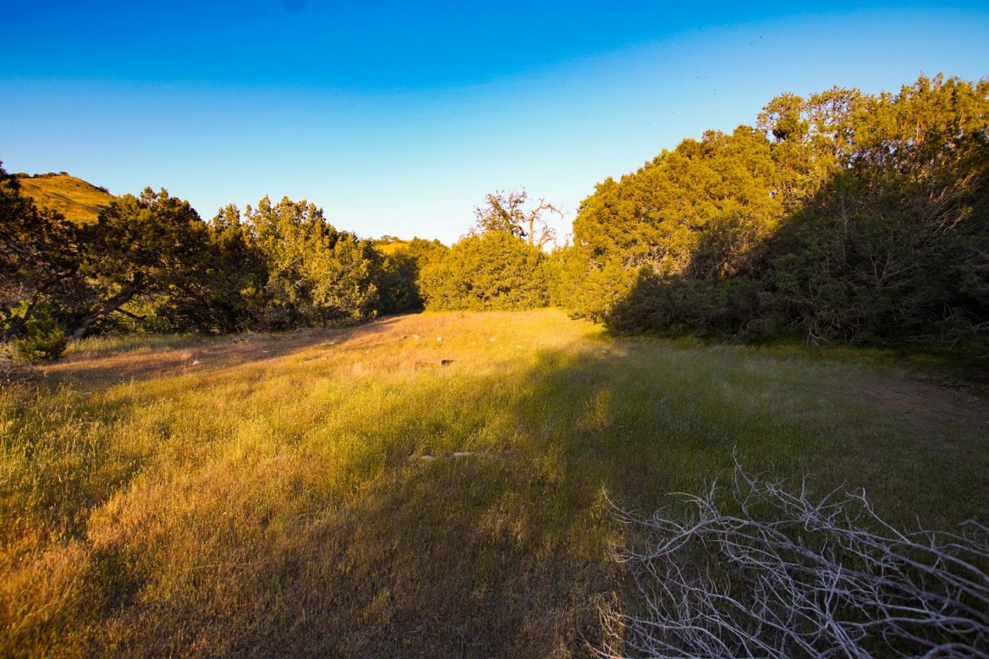 Detail Gallery Image 22 of 45 For 0 Willow Springs Lot 47, Paicines,  CA 95043 - – Beds | – Baths