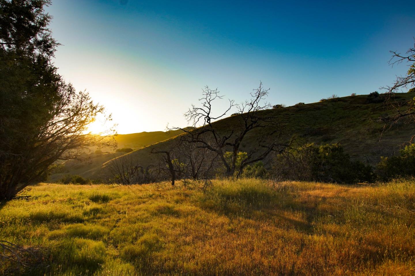 Detail Gallery Image 23 of 45 For 0 Willow Springs Lot 47, Paicines,  CA 95043 - – Beds | – Baths