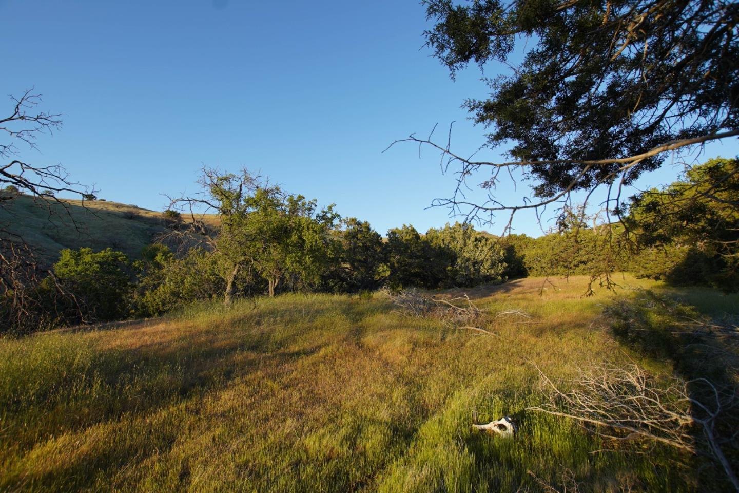 Detail Gallery Image 24 of 45 For 0 Willow Springs Lot 47, Paicines,  CA 95043 - – Beds | – Baths