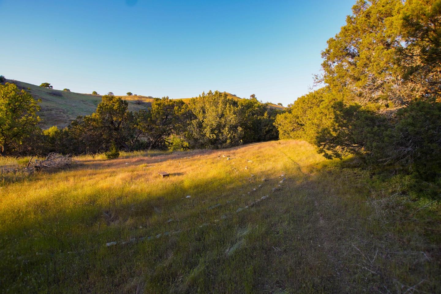 Detail Gallery Image 26 of 45 For 0 Willow Springs Lot 47, Paicines,  CA 95043 - – Beds | – Baths