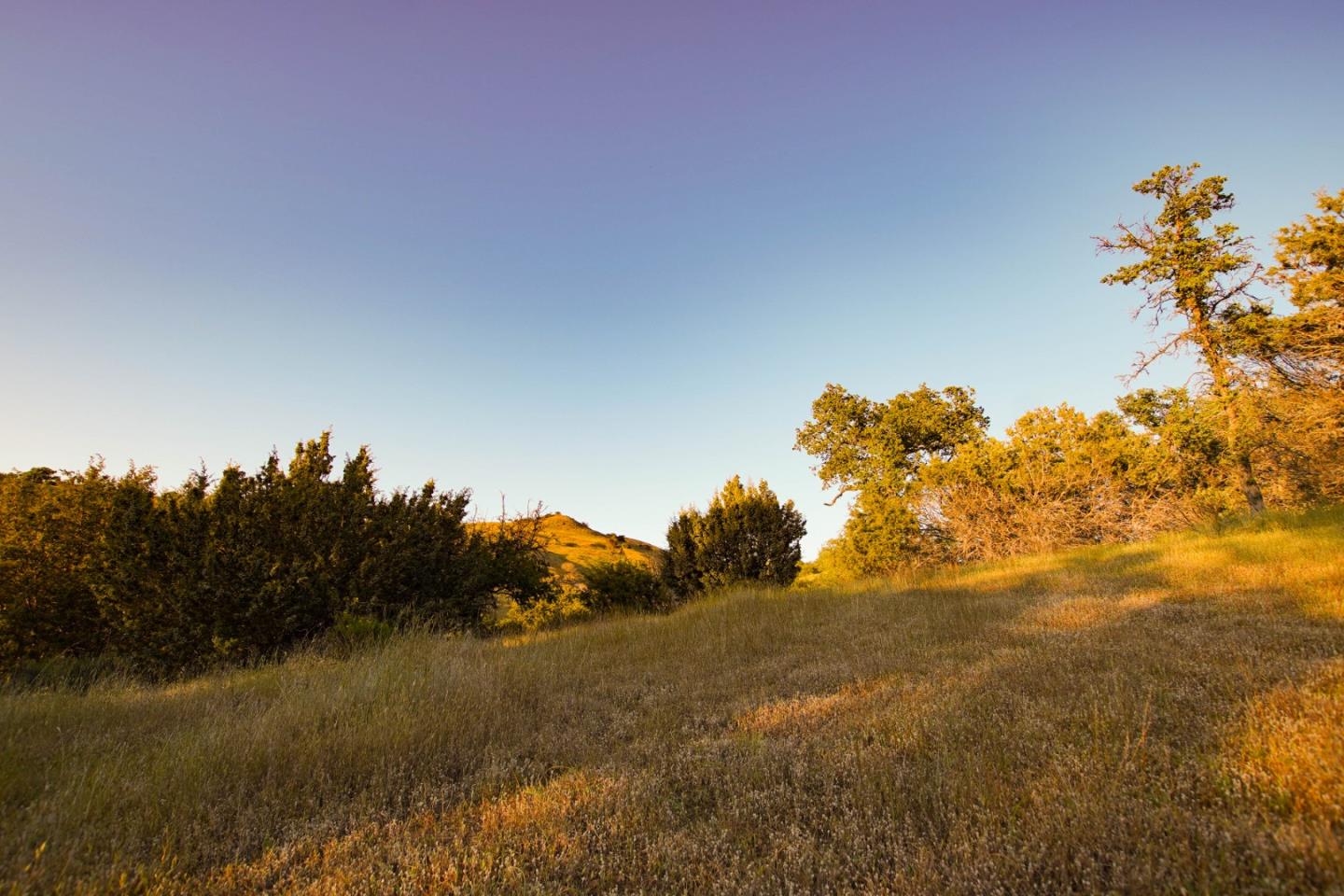 Detail Gallery Image 28 of 45 For 0 Willow Springs Lot 47, Paicines,  CA 95043 - – Beds | – Baths