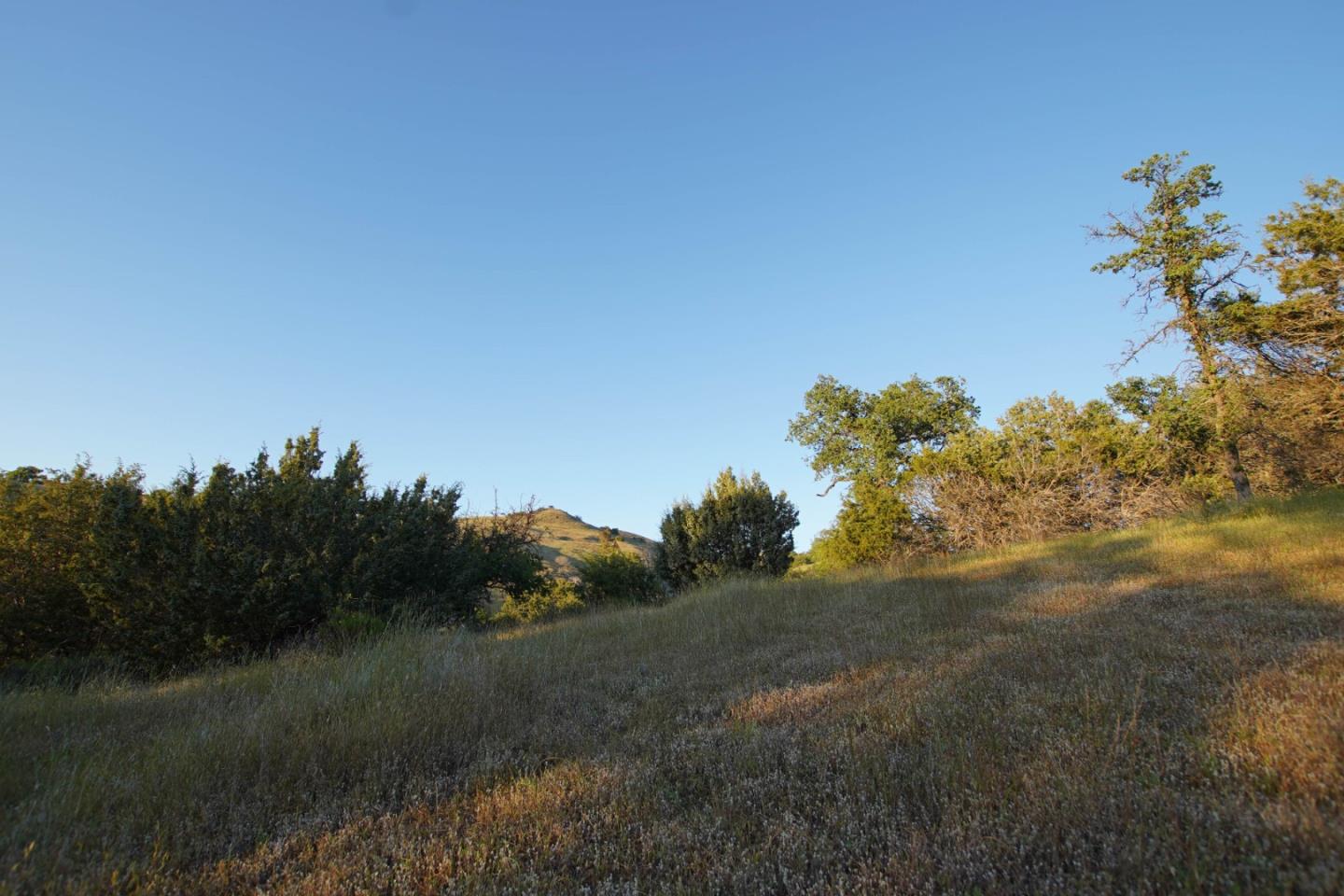 Detail Gallery Image 29 of 45 For 0 Willow Springs Lot 47, Paicines,  CA 95043 - – Beds | – Baths