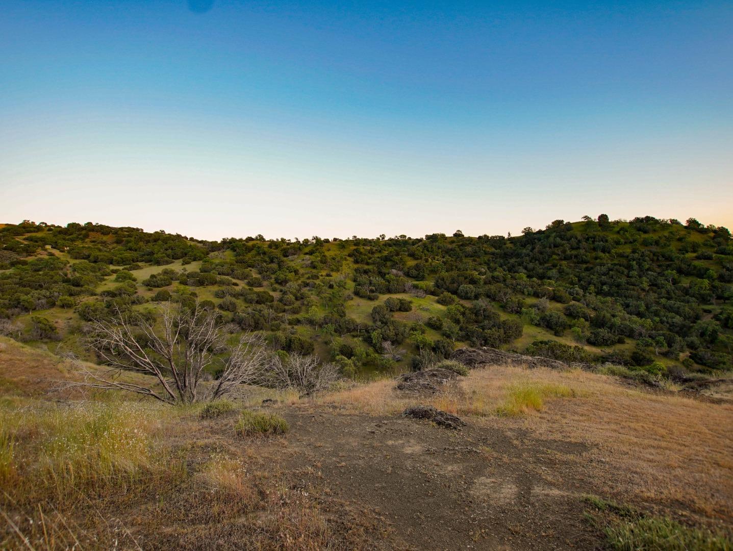 Detail Gallery Image 31 of 45 For 0 Willow Springs Lot 47, Paicines,  CA 95043 - – Beds | – Baths