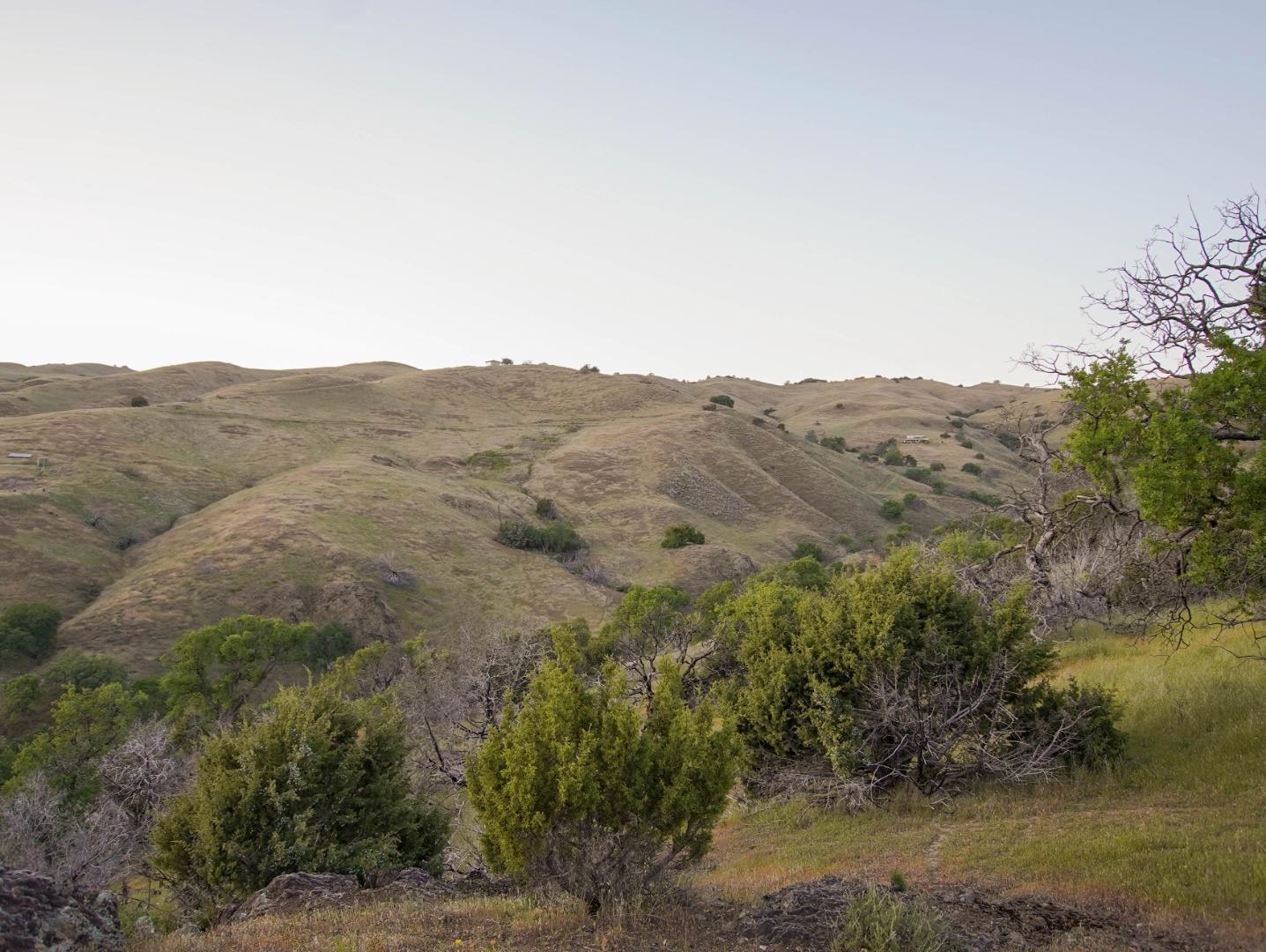 Detail Gallery Image 35 of 45 For 0 Willow Springs Lot 47, Paicines,  CA 95043 - – Beds | – Baths