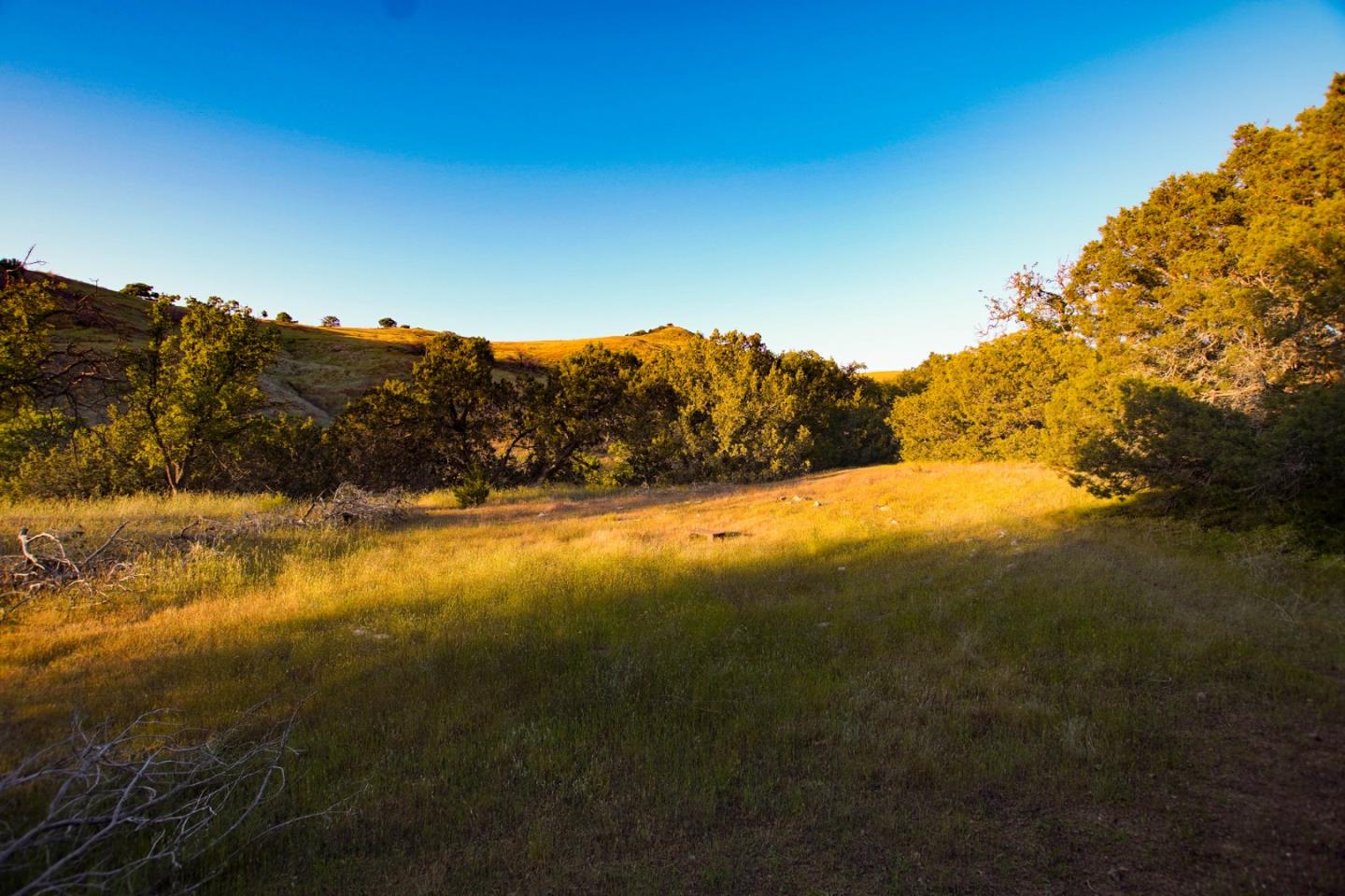 Detail Gallery Image 41 of 45 For 0 Willow Springs Lot 47, Paicines,  CA 95043 - – Beds | – Baths