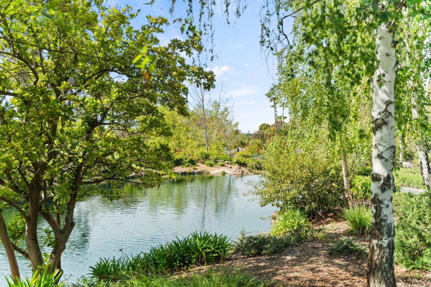 Detail Gallery Image 70 of 74 For 283 Casitas Bulevar, Los Gatos,  CA 95032 - 3 Beds | 2/1 Baths
