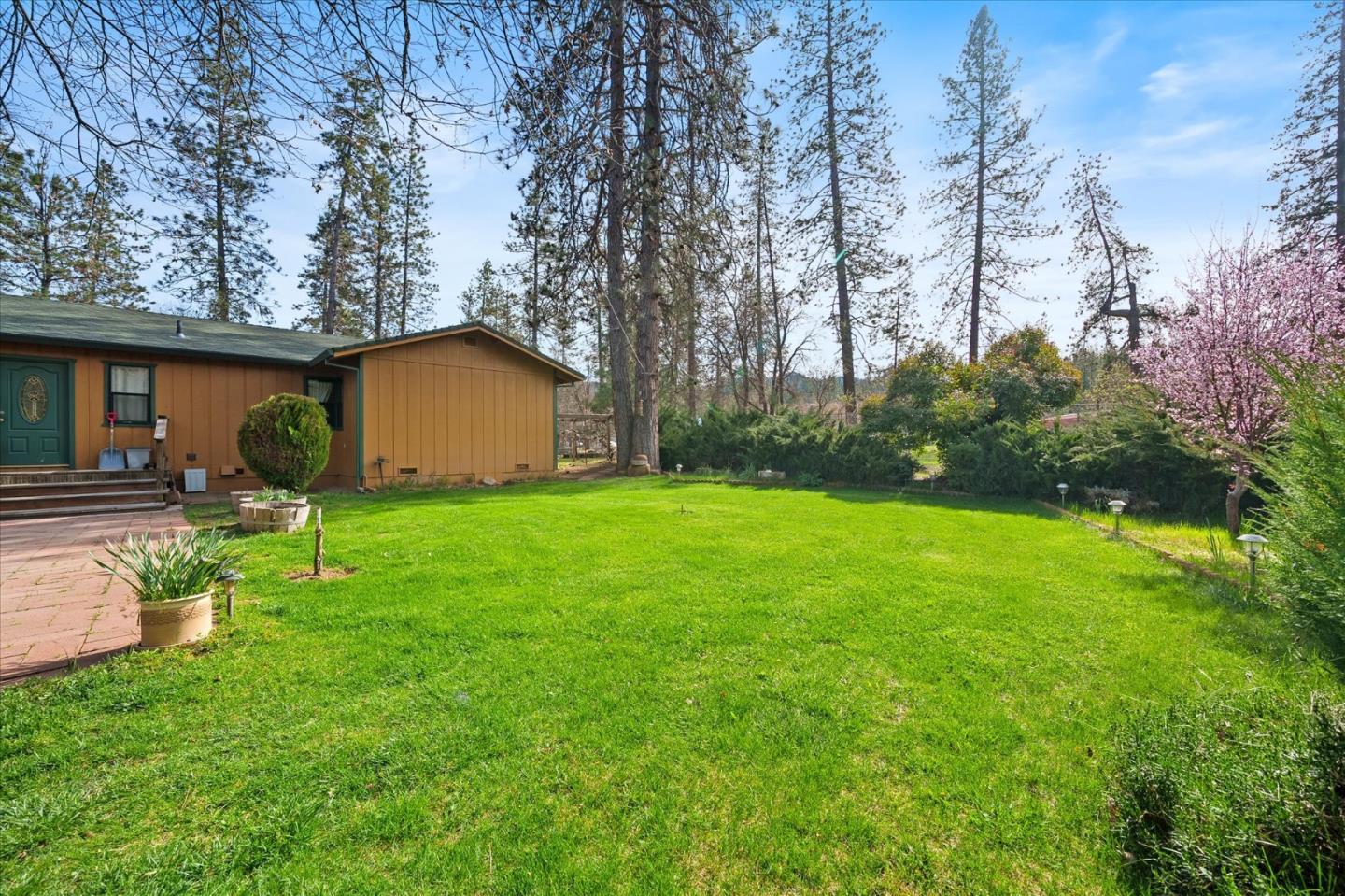 Detail Gallery Image 28 of 50 For 121 Wellock Rd, Lewiston,  CA 96052 - 3 Beds | 2 Baths