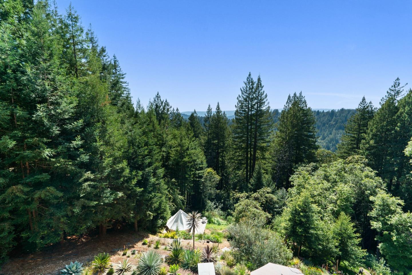 Detail Gallery Image 39 of 64 For 24101 Mountain Charlie Road, Los Gatos,  CA 95033 - 4 Beds | 3/2 Baths