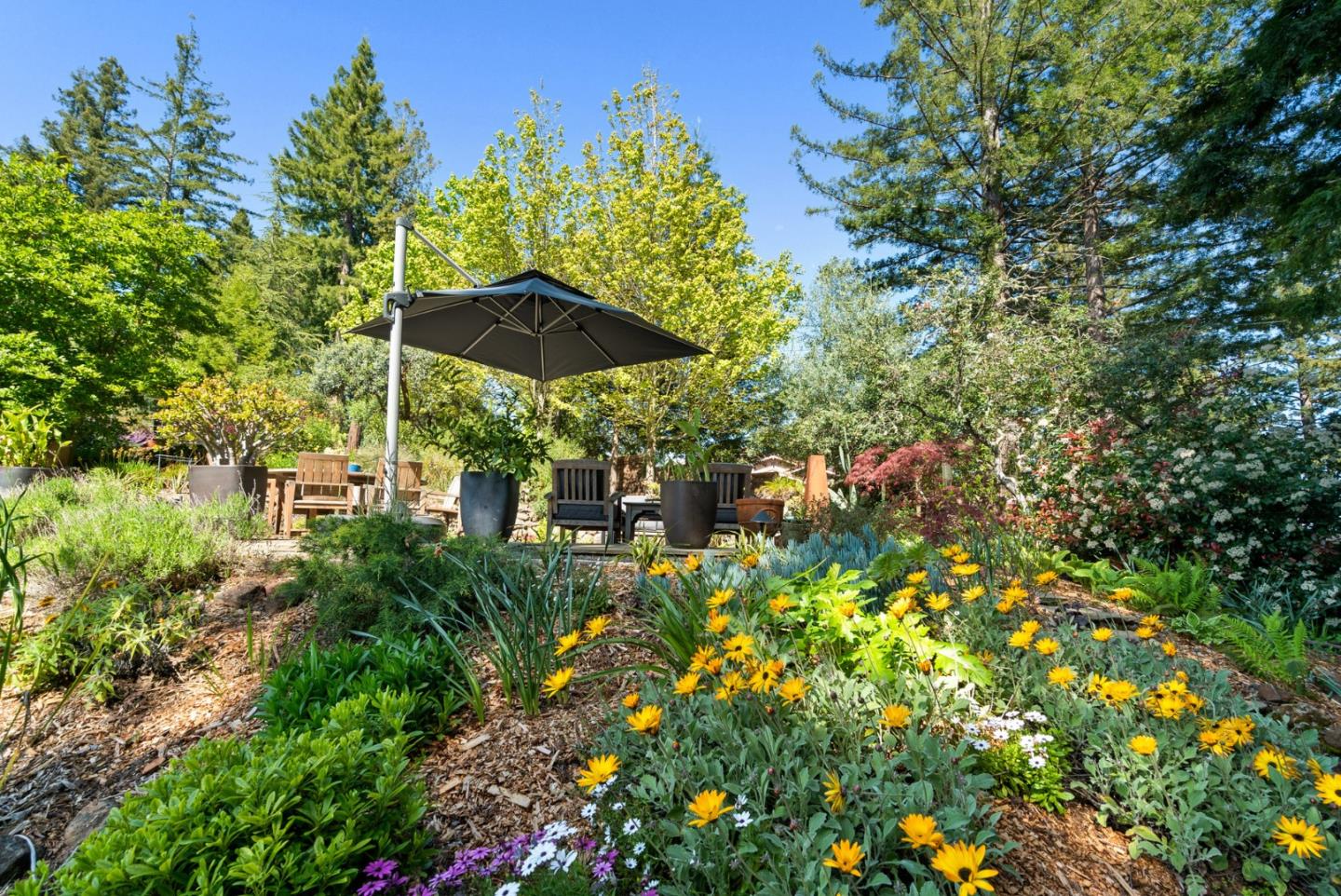 Detail Gallery Image 45 of 64 For 24101 Mountain Charlie Road, Los Gatos,  CA 95033 - 4 Beds | 3/2 Baths