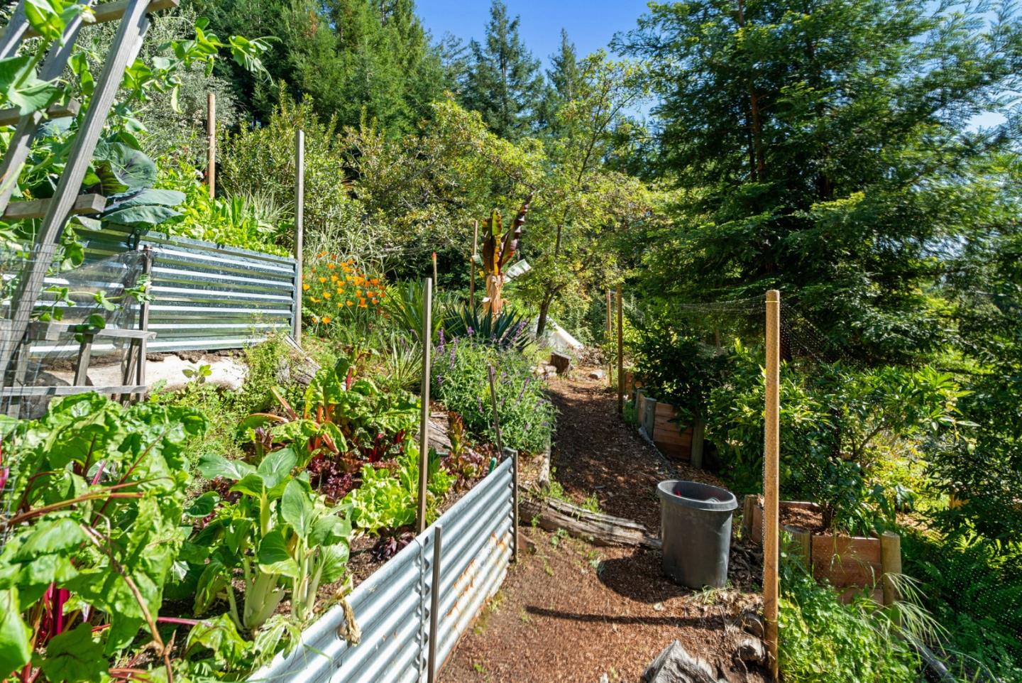 Detail Gallery Image 55 of 64 For 24101 Mountain Charlie Road, Los Gatos,  CA 95033 - 4 Beds | 3/2 Baths