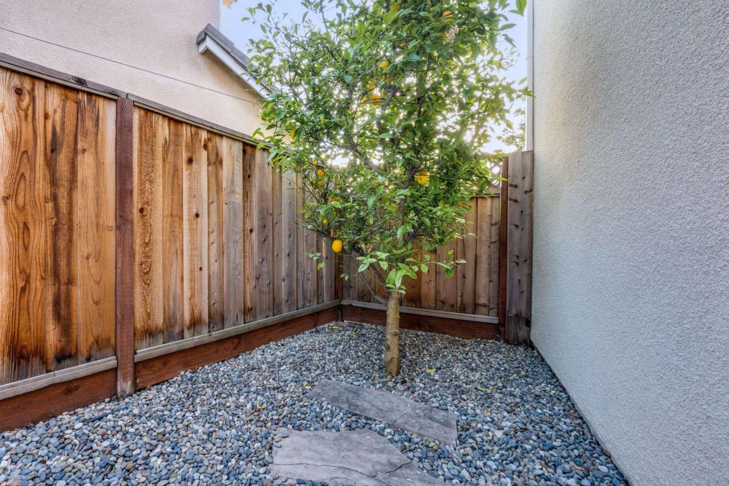 Detail Gallery Image 30 of 57 For 105 Chetwood Dr, Mountain View,  CA 94043 - 4 Beds | 2/1 Baths